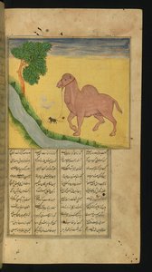 Un Topo, che Afferra le Redini di un Cammello, presso un Ruscello, illustrazione da Una Raccolta di Poesie, di Jalal al-Din Rumi, 1663 da Persian School